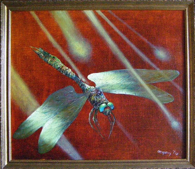 Artist Stegaresku Tudor: Dragonfly and sunlight spots